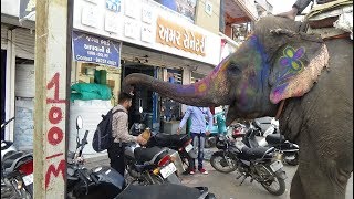 🙏🏽  Blessings from Lord Ganesh / Elephant God Ganapati, Gujarat, India. 🙏🏽