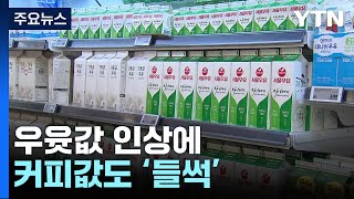 우윳값 인상에 커피값도 들썩...\