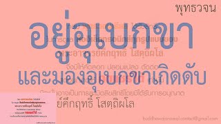 อยู่อุเบกขา และมองอุเบกขาเกิดดับ | พุทธวจน | ธรรมะ | พระอาจารย์คึกฤทธิ์ วัดนาป่าพง