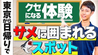 世界でもトップクラス！関東のダイビングスポットは数もクオリティもすごかった