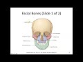 hsc 114 chapter 15 lecture video