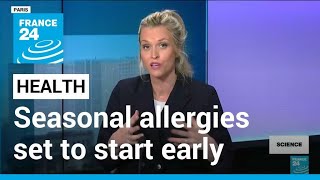 Spring is here: Seasonal allergies set to start early • FRANCE 24 English