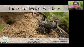 Secret Life of Bees with Nick Dorian