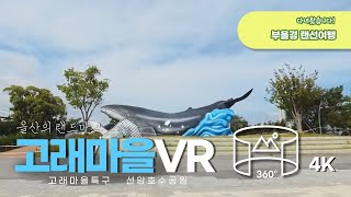 [부울경 진짜 랜선여행] VR로 보는 울산의 고래문화특구와 추천 산책로 (4K) 🐋