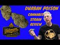 DURBAN POISON Cannabis Strain Review