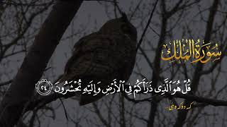 SURAH MULK WITH URDU TRANSLATION BEAUTIFUL RECITATION COMPLETE SURAH