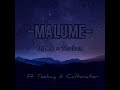 DJ Mk SA& Thukzin SA Ft Teekay Rsa ,Caltonar SA-MaLume(offcial Aduio)