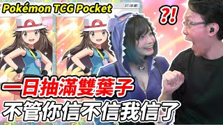 【PTCG Pocket】一日抽滿雙葉子《不管你信不信我信了》【平民百姓】『寶可夢』『Pokémon TCG Pocket』@angelakuo0504 『葉子』