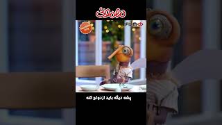 پشه دیگه باید ازدواج کنه#shorts