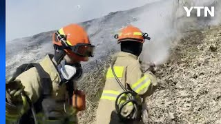 경북 영주에서 과수원 불이 산불로 번져...임야 3,000㎡ 소실 / YTN