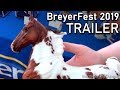 Stormy Strike's Post BreyerFest 2019 Videos TRAILER