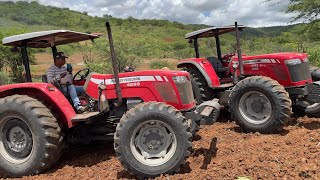 Dois tratores massey ferguson traçado cortando terra na macambira em monte das gameleiras rn