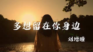 刘增瞳 - 多想留在你身边 【如果能够留在你身边 伴你日日夜夜 看看爱我的那个人的容颜】动态歌词 Lyrics