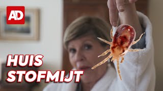 Hoe maak je je slaapkamer huismijtvrij? 🎥 Schoonmaken met Marja