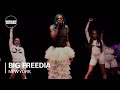 Big Freedia | Club Quarantine with Absolut