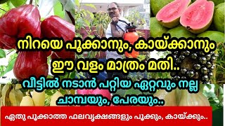 ഏത് പൂക്കാത്ത പഴ ചെടികളും പൂക്കും, കായ്ക്കും ഈവളം കൊടുത്താൽ 😍#homegarden #fertilizer #fruit #exotic