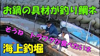 【海上釣堀】美味しいお鍋の具材を求めて～トラフグが食べたい〜海釣ぽ～と田尻