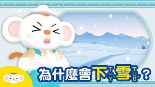 【天氣小知識】下雪為什麼要低溫？下雪和雨的關係是什麼？台灣哪裡看得到雪景？｜小行星樂樂TV