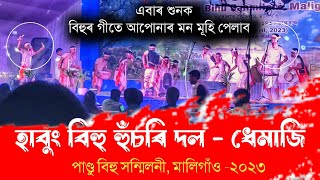 Habung Bihu Husori Dol 2023 / হাবুং বিহু হুঁচৰি দল - ধেমাজি / বিহু হুঁচৰি ২০২৩