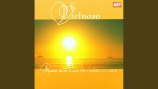 Great Sonata Op. 85 for Flute and Guitar: Allegro maestoso