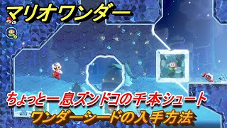 マリオワンダー　ちょっと一息ズンドコの千本シュート　ワンダーシードの入手方法　＃３２　【スーパーマリオブラザーズ ワンダー】