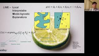 Explain This – Beyond Lime and SHAP: the Fastest Approach to AI Explainability