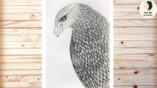 How to draw a eagle easy step by step | Eagle drawing tutorial | Pencil Sketch Realistic Drawing