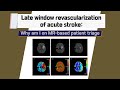 [English] Late window revascularization of acute stroke: Why I am on MR for the patient triage.