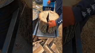 Log Splitting Made Easy: Unveiling the Secrets of the Firewood Processor  #woodworking #firewood