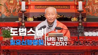 2023.11.12 도법스님 일요신행법회_나의 1번은 누구인가?'