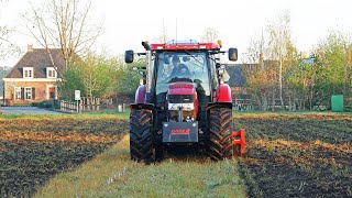 Mulching and Tilling Cover Crop | Case IH Maxxum 110 + Kverneland | 2022