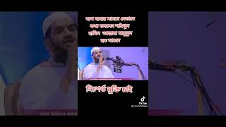 বাপ দাদাদের সামনে যেভাবে কথা বললেন মামুনুল | আল্লামা মামুনুল হকের মুক্তি চাই | হলি ইলম #shortsvideo