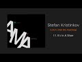 Stefan Kristinkov \\ It's in a Shoe \\ Official Audio