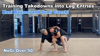 Training Single Leg Counters into Leg Entries