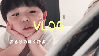 【VLOG】息子の日常/幼稚園帰宅後　 #4歳男の子 #ルーティン #日常