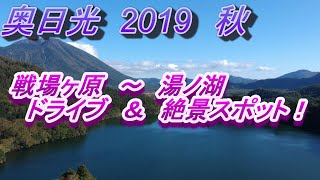 奥日光　2019　秋　戦場ヶ原～湯ノ湖ドライブ