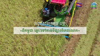 សែនក្រអូប០១៖ ពូជស្រូវកម្ពុជា ឆ្ពោះទៅកាន់ទីផ្សារពិភពលោក