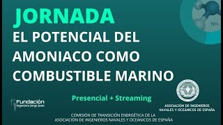 El Potencial del Amoníaco como combustible marino