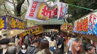 上野恩賜公園 さくら通り Ueno Park Sakura Street2023 3 30 🕰10:55〜)