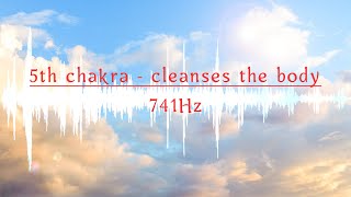 741 Hz🍀 MUSIC for MANTRAS and MEDITATIONS / 🧩Cleansing from toxins, viruses, bacteria