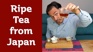 Unusual Fermented Tea from Japan - KOJI PLUM