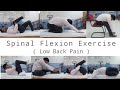 Spinal Flexion Exercise , Exercise in Spinal stenosis , Exercise in facets joint arthropathy,