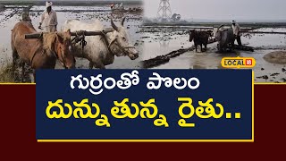 Horse: గుర్రంతో పొలం దున్నుతున్న రైతు.. ఎక్కడో తెలుసా? | #local18