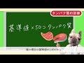 【獣医師監修・犬の手作りごはん】必要摂取量　計算式