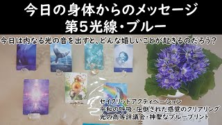 【５０】今日の身体からのメッセージ　第５光線　ブルー　内なる光の音を出す【セイクリッドアクティベーション】平和の呼吸・圧倒された感覚のクリアリング・光の高等評議会