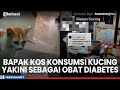 Viral Bapak Kos Di Semarang Terciduk Konsumsi Kucing Yakini Sebagai Obat Diabetes