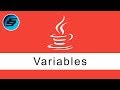 Variables - Java Programming