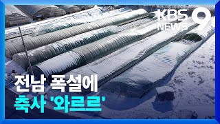 전남 폭설에 축사 ‘와르르’…또 눈 예보 [9시 뉴스] / KBS  2022.12.20.