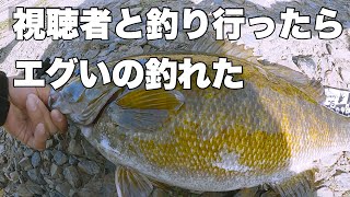 春の川スモール連発！smallmouth bass【バス釣り】