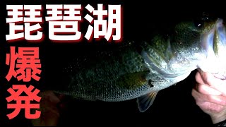 ワカサギを追って岸に寄ってくる奴はデカい【琵琶湖おかっぱり】